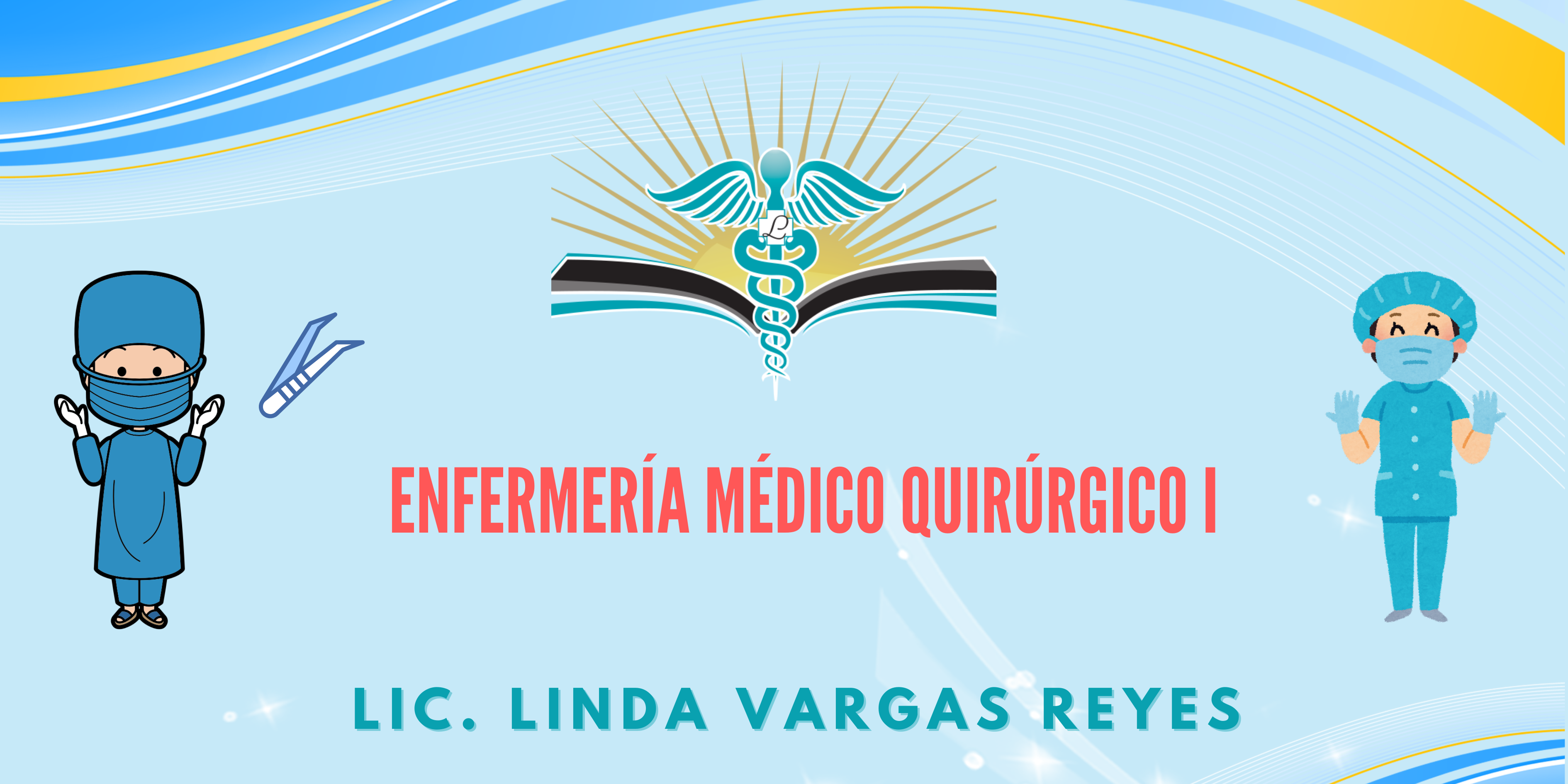 BANNER LIC LINDA V